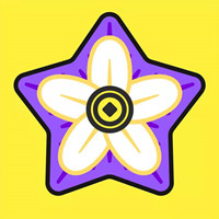 星辰花 星辰花