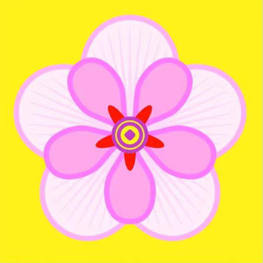 芙蓉花 芙蓉花